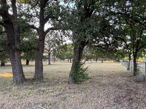 3749 Shelby Rd.-Tract 2 - Photo 14
