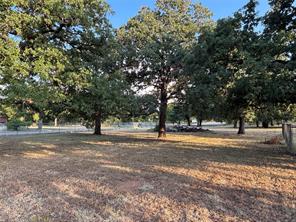 3749 Shelby Rd.-Tract 2 - Photo 5