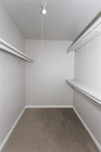 2813 Ripplewood Drive - Photo 19