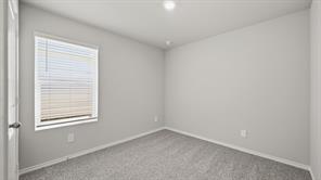 301 WAYLAND Street - Photo 13