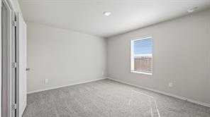 341 WAYLAND Street - Photo 8