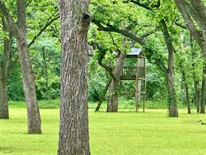 11320 County Road 528 - Photo 10
