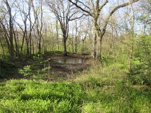 11320 County Road 528 - Photo 12