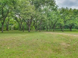 11320 County Road 528 - Photo 23