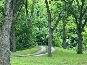 11320 County Road 528 - Photo 5
