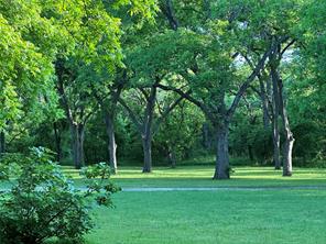 11320 County Road 528 - Photo 9