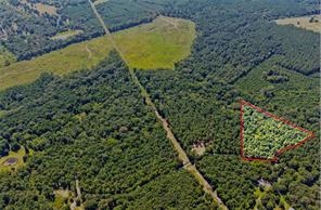 Lot 1 County Road 1240 - Photo 1