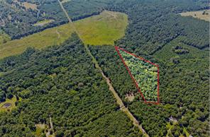 Lot 2 County Road 1240 - Photo 1