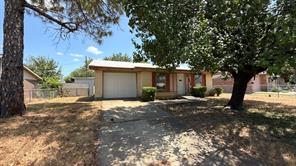 3976 Avocado Drive - Photo 1