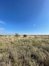 TBD FM 2279 - Photo 2