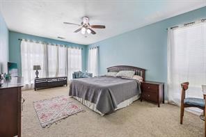 1129 Mourning Dove Drive - Photo 10