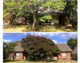 1105 Park Street - Photo 1