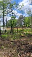 Lot 54 White Oak Creek Ranch - Photo 1