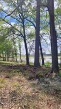 Lot 54 White Oak Creek Ranch - Photo 2