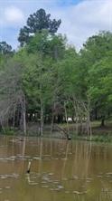 Lot 54 White Oak Creek Ranch - Photo 3