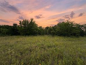 316 County Road 458 - Photo 1