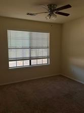 1511 Sunflower Lane - Photo 12