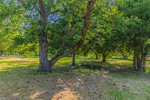 4666 Fm 1569 - Photo 14