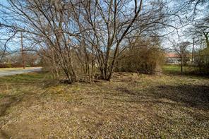TBD S Gribble Street - Photo 10