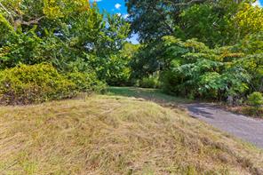 5217 W Marshall Avenue - Photo 3