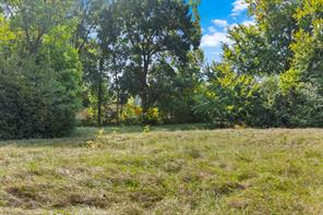 5217 W Marshall Avenue - Photo 5
