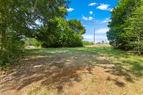 5217 W Marshall Avenue - Photo 7