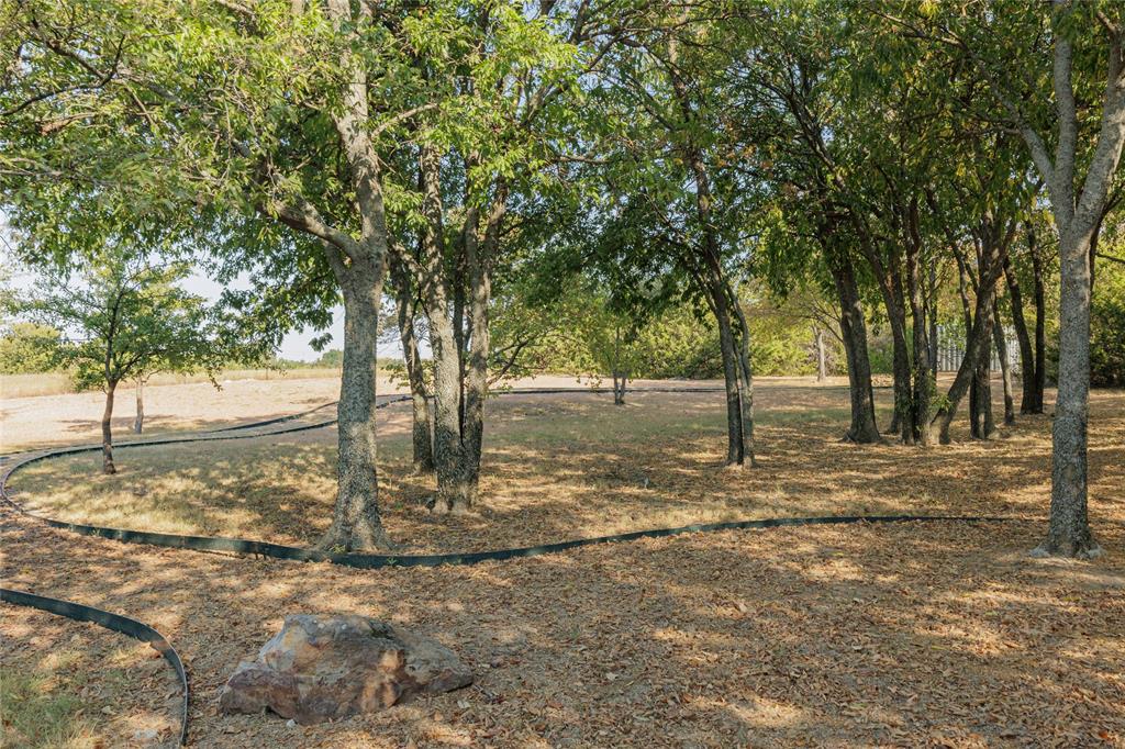 1210 S Business 287 Highway - Photo 10