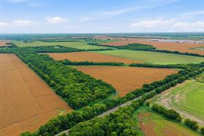 10935 County Road 109 - Photo 10
