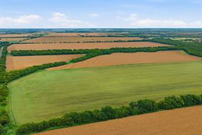 10935 County Road 109 - Photo 14