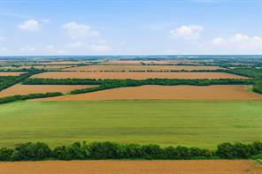 10935 County Road 109 - Photo 15
