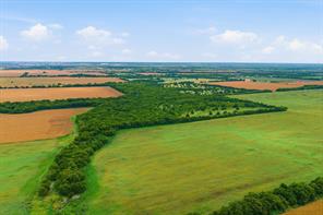 10935 County Road 109 - Photo 17