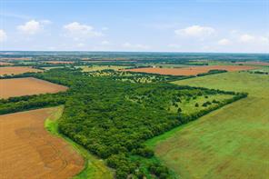 10935 County Road 109 - Photo 18