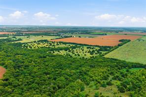 10935 County Road 109 - Photo 20