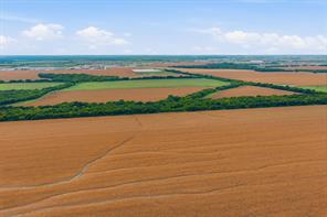 10935 County Road 109 - Photo 9