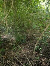 0 County Road 3419 - Photo 2