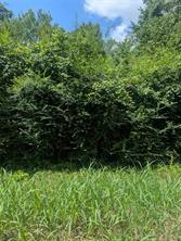 0 County Road 3419 - Photo 4