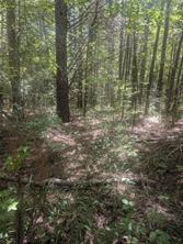 212 Yates Street - Photo 2