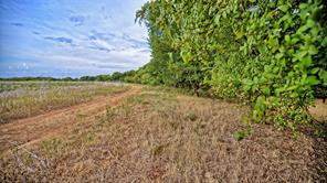 TBD Doss Loop - Photo 12