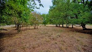 TBD Doss Loop - Photo 18