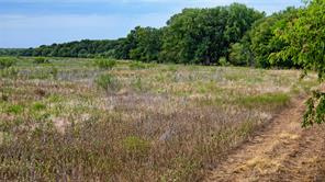 TBD Doss Loop - Photo 19