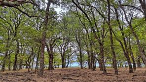 TBD Doss Loop - Photo 22