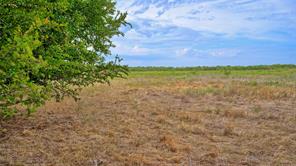 TBD Doss Loop - Photo 28