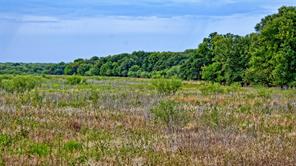 TBD Doss Loop - Photo 33