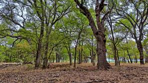 TBD Doss Loop - Photo 34