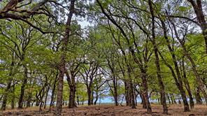 TBD Doss Loop - Photo 6