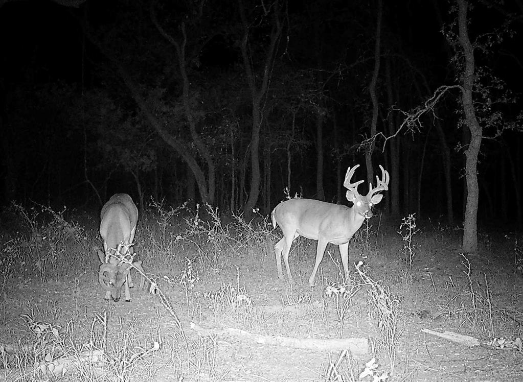 TBD County Rd 146 - Photo 16
