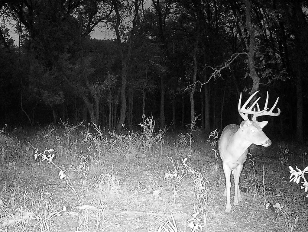 TBD County Rd 146 - Photo 17