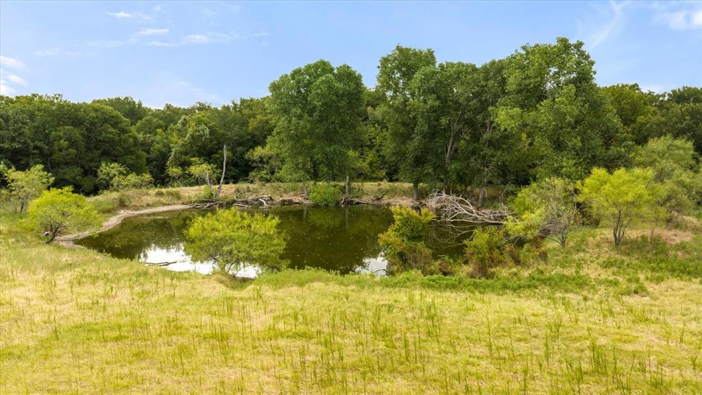TBD County Rd 146 - Photo 9