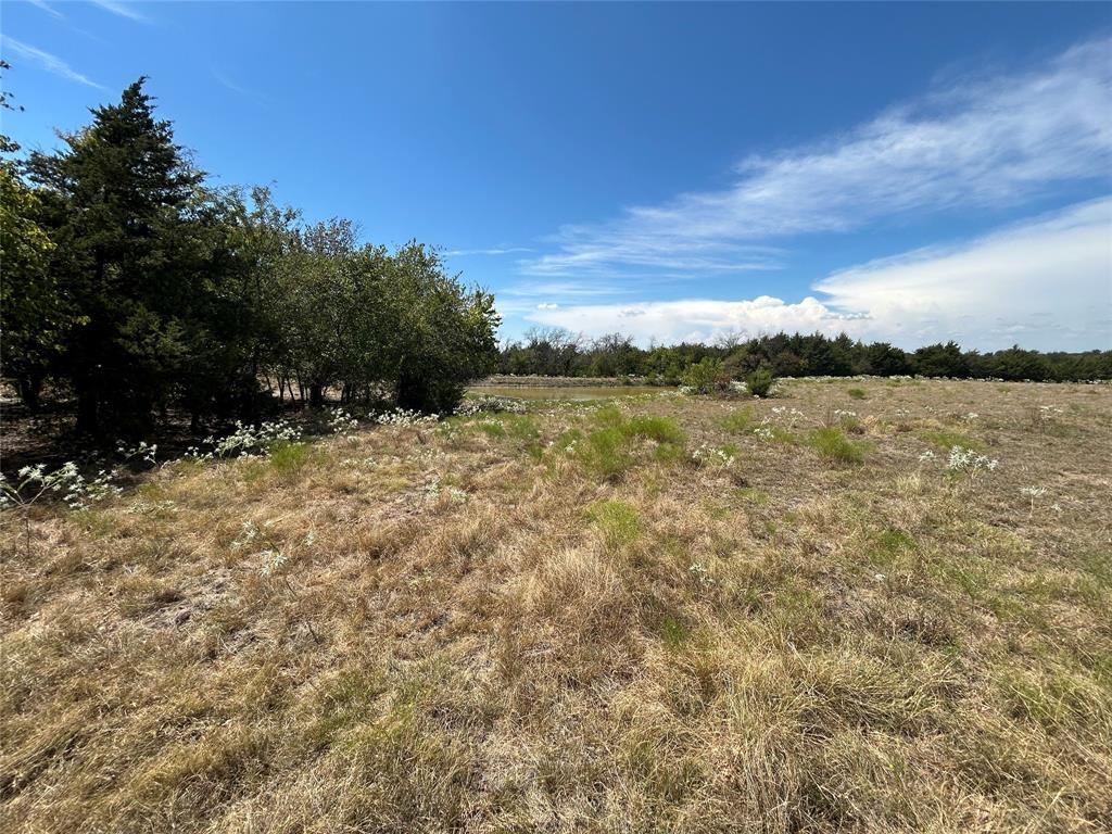 TBD Lone Tree Street - Photo 6