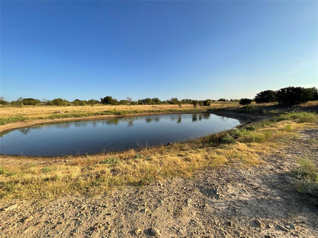 1009 Goodnight Trail - Photo 1